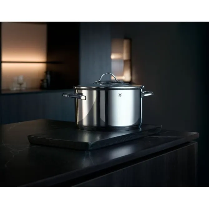 Töpfe | WMF Aparto Kochtopf mit Deckel, 24 cm