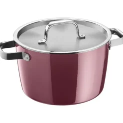 Töpfe | WMF Fusiontec Aromatic Kochtopf, 24 cm, Rose Quartz