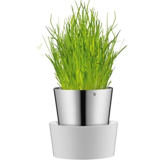Würzen & Verfeinern | WMF Gourmet Indoor Kräutergarten