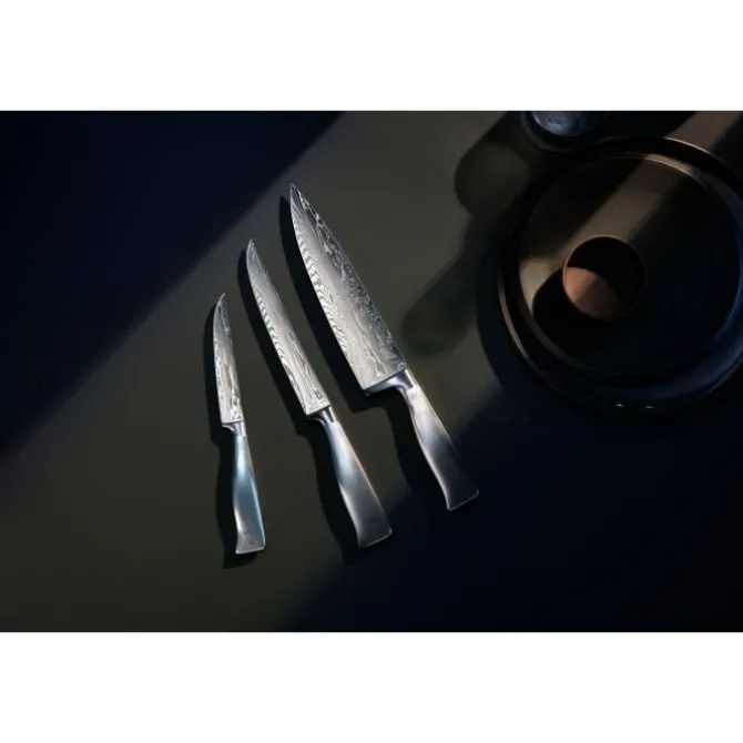 Küchenmesser | WMF Grand Gourmet Damasteel® Fleischmesser, 17 cm