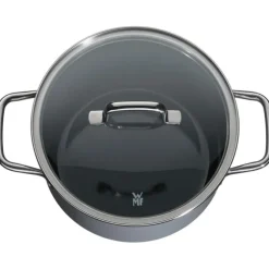 Töpfe | WMF Fusiontec Essential Kochtopf mit Deckel, 20 cm, Calm Grey